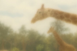 Kennissessie HR & Salaris (6 november)