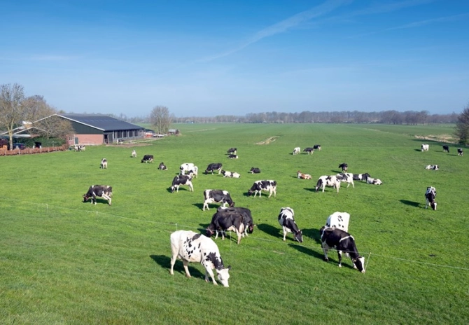 Advies Raad van State over maximale mestproductie