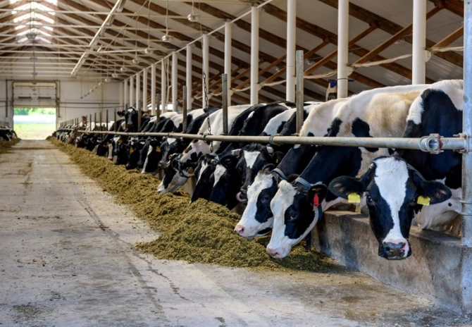 Vastlegging gegevens bij mestboekhouding 2024
