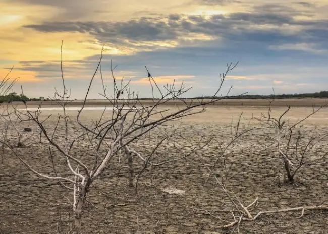 Opnieuw droogtemaatregelen aangekondigd door landbouwminister