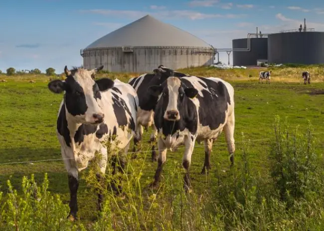 Informatie over de fosfaatrechten voor 2018