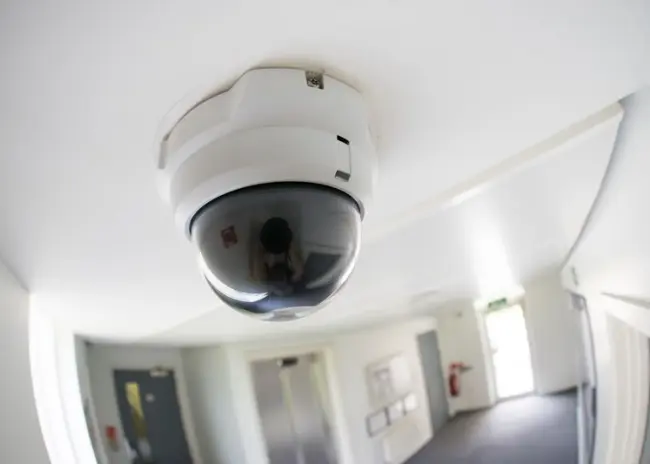 Hof wijst vordering tot opschorting UBO-wetgeving af