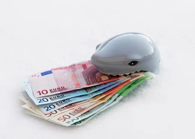 Rechtbank past arrest Hoge Raad over box 3 toe