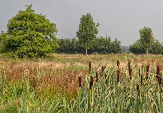 Ecoregeling: punten biodiversiteit lastiger te behalen in 2025