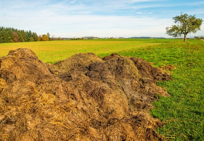 Extra organische mest op bouwland met hoge fosfaattoestand