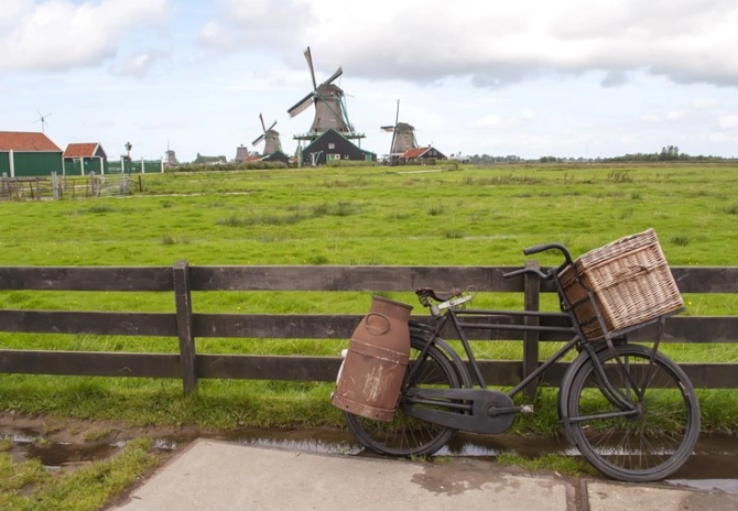 Regelgeving scheuren grasland