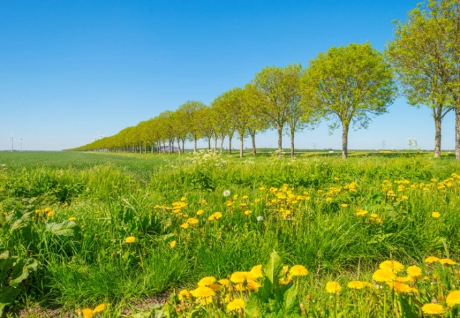 Toestemming gebruik grond en landschapselementen