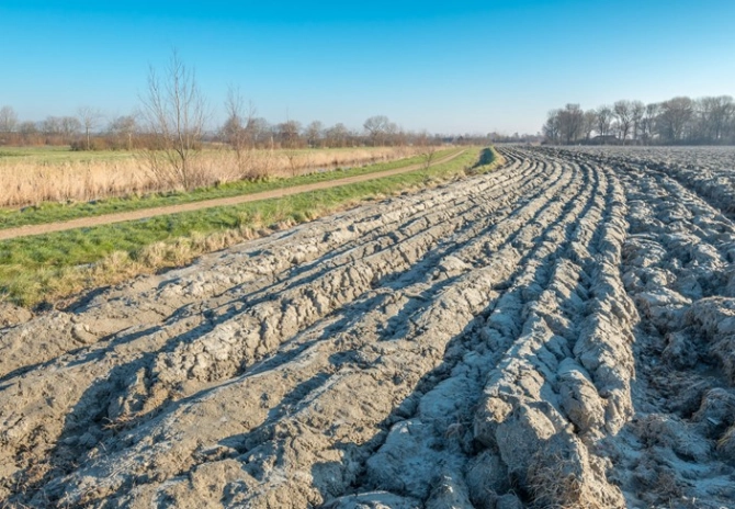 Verplichte teelt rustgewassen op zand- en lössgrond
