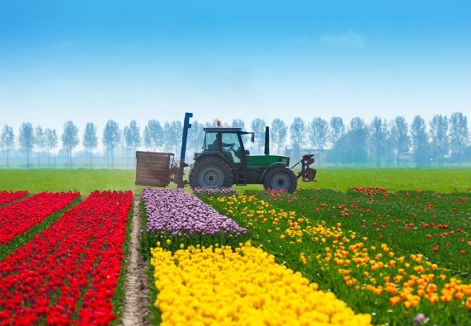 Hof: verpachter niet aansprakelijk voor schade aan gewas