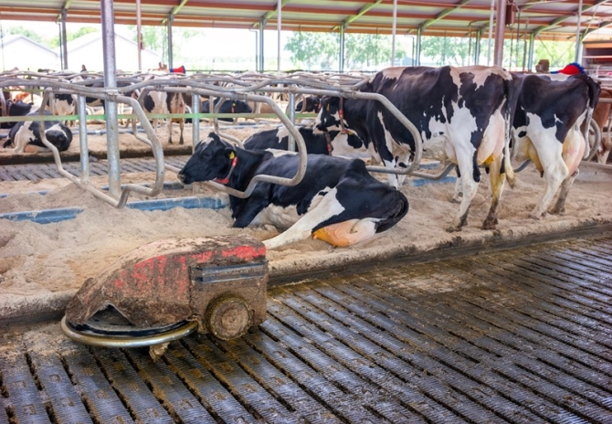 Convenant en AMvB dierwaardige veehouderij