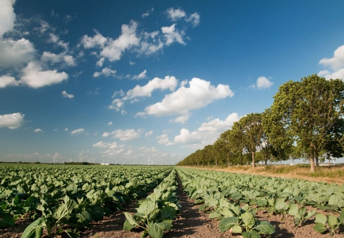 Nieuwe versie Nationaal Strategisch Plan