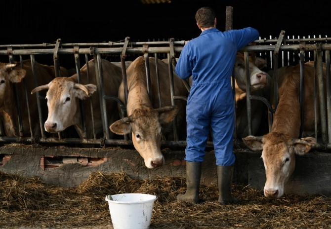 Uitkoopregelingen: kansen voor blijvers en duidelijkheid voor de sector?