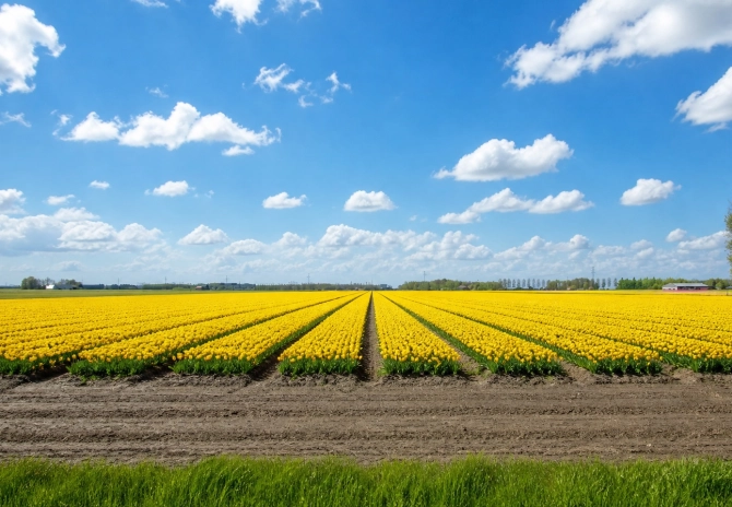 Nieuw pachtbeleid loopt vertraging op