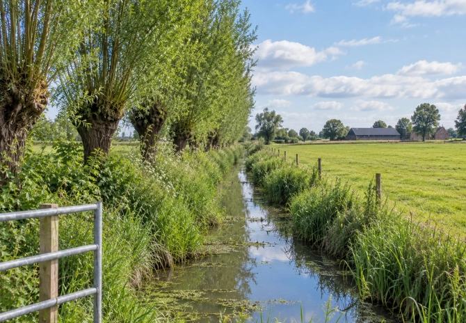 Nieuwe stikstofplannen: wat komt er op agrarisch ondernemers af?