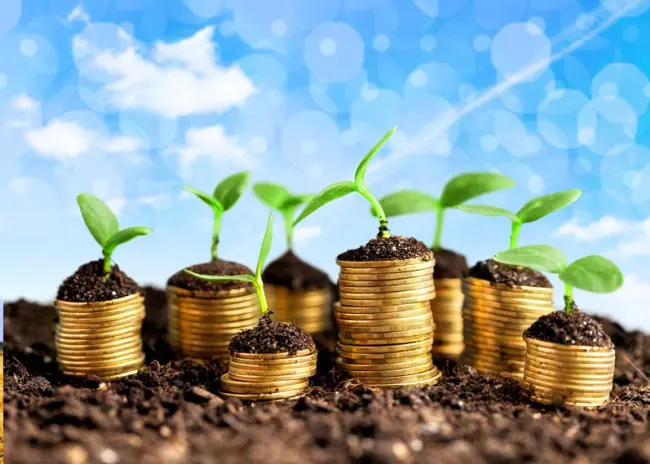 Eco-activiteiten in het nieuwe GLB