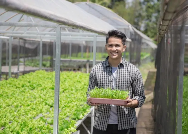 Betalingsrechten en blokkerende zeggenschap jonge landbouwers