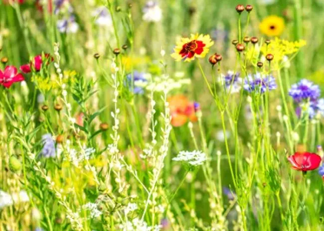 Conclusies praktijktoets ecoregeling