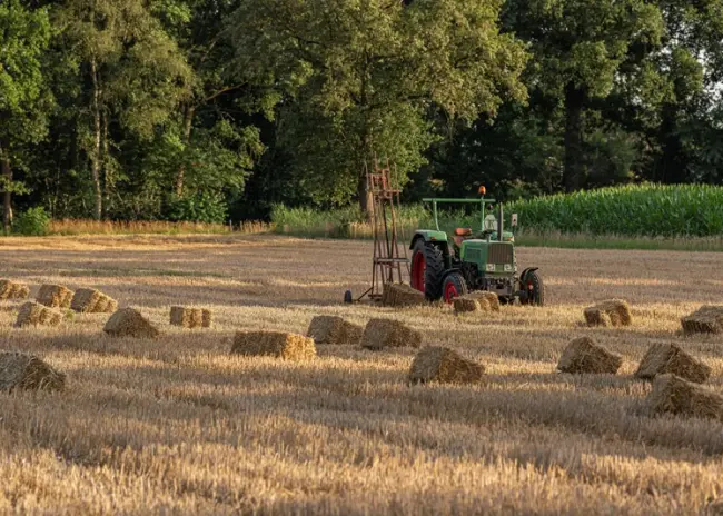 Stand van zaken nieuw GLB