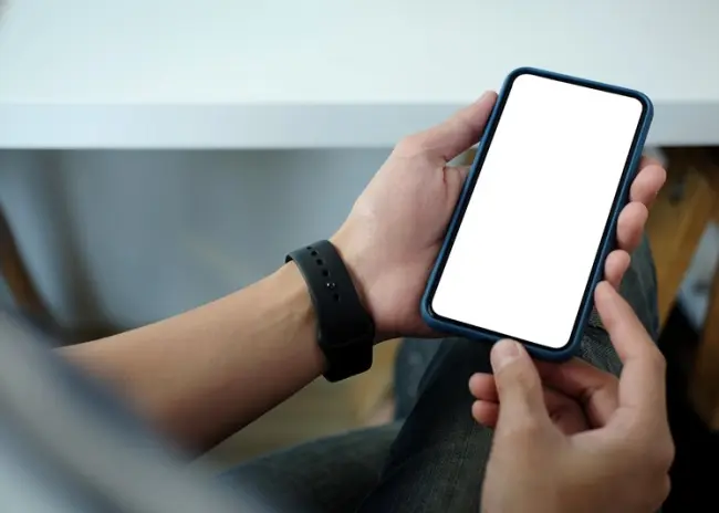 Doorgeven wijzigingen EA-vanggewassen