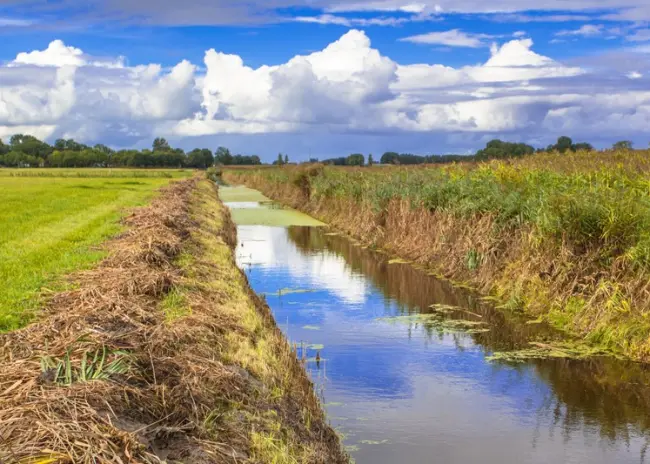 Bufferstroken verplicht vanaf 2023