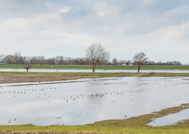 Subsidieregeling overstromingsschade 2021