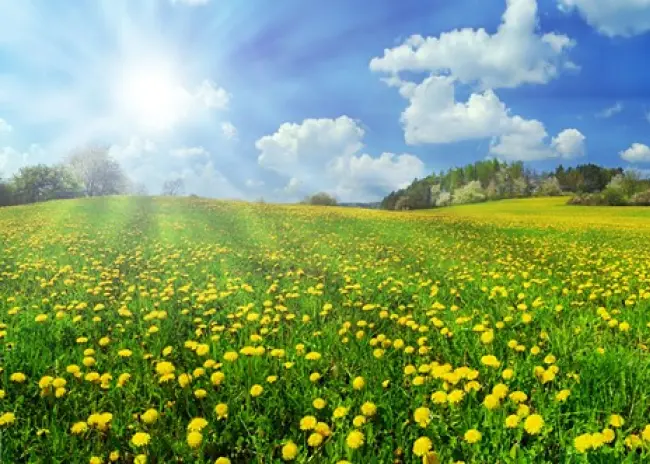 Lagere uitbetaling betalingsrechten in 2022