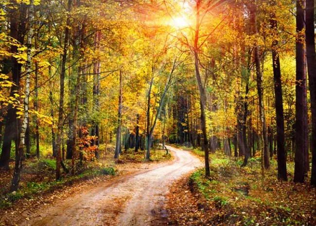 Rechtbank: rechtsgevolgen positieve weigering gelijk aan vergunning