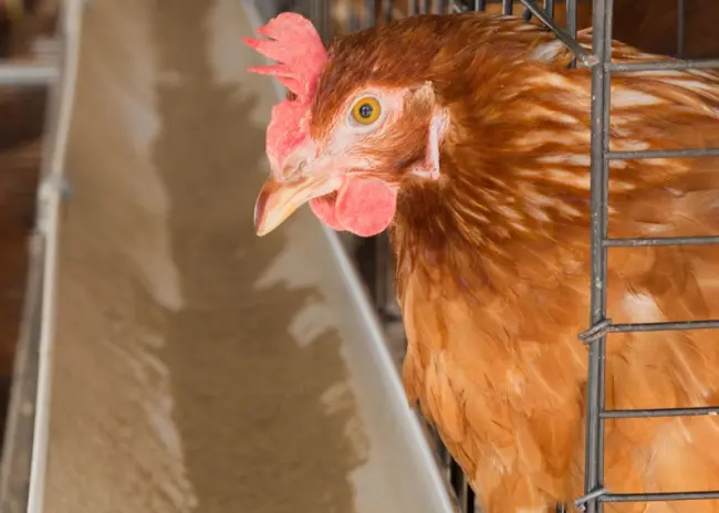 Gebruik ionisatietechnieken onder voorwaarden veilig