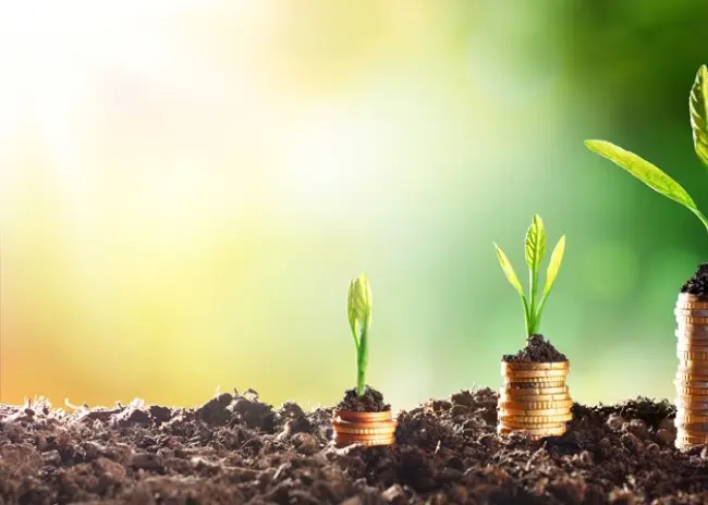 Ecoregeling: verschillende punten en waardes per regio