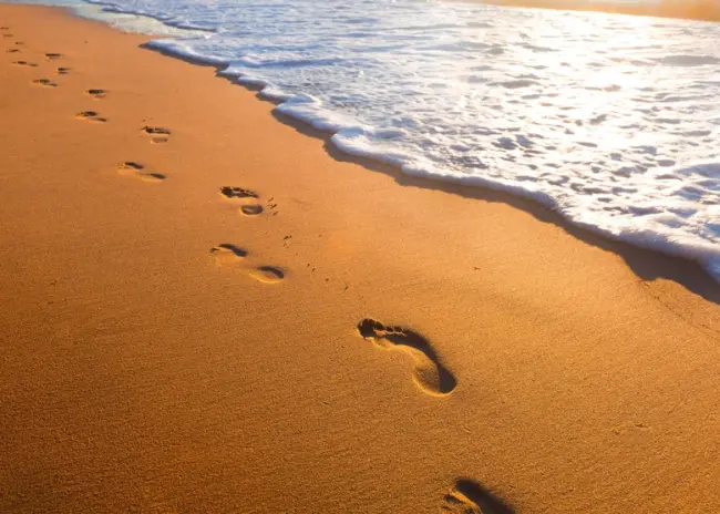 Aankondiging aanpassing regeling STAP-budget