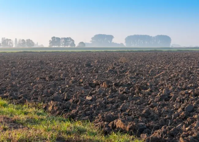 Jaar uitstel voor bufferstroken en vanggewassen