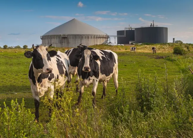 Vastlegging gegevens bij mestboekhouding 2022