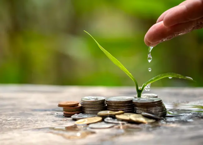 Vanggewas laten staan tot 1 maart