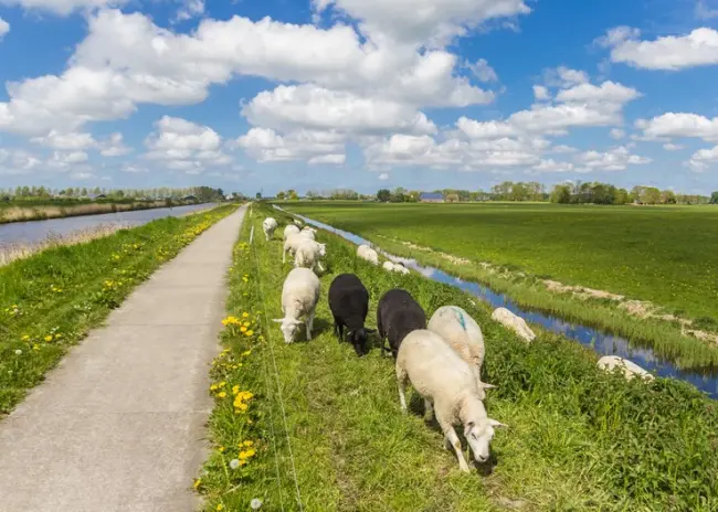 Bufferstroken in wetgeving vastgelegd