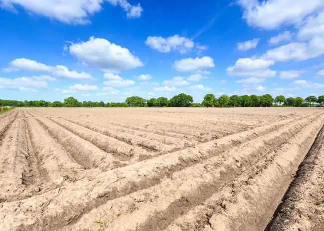 Uitrijden drijfmest op bouwland vanaf 16 maart