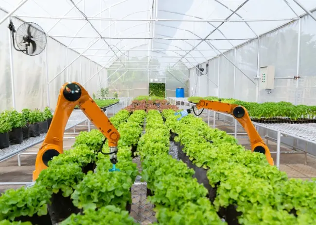 Willekeurige afschrijving bedrijfsmiddelen 2023