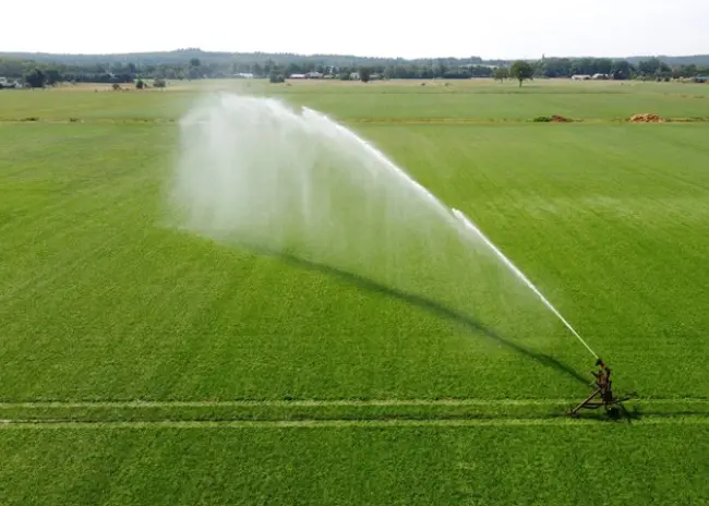 Subsidie behoud graslandareaal derogatiebedrijven