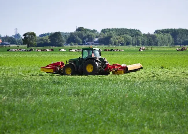 Monitoring maaien of beweiden percelen GLB-subsidies