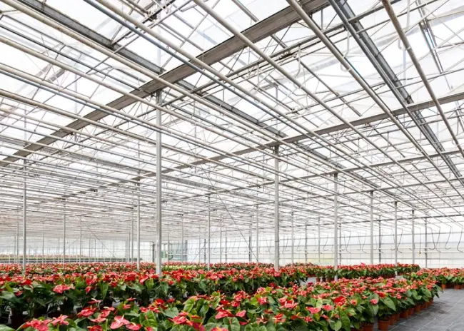 Fiscale klimaatmaatregelen glastuinbouw