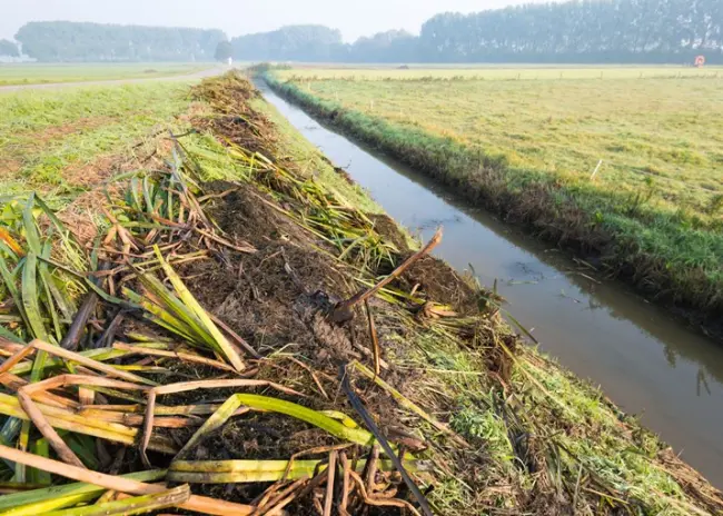 Toepassing van bufferstroken in 2024