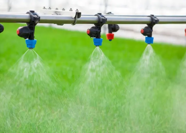 Nieuwe eco-activiteiten in 2024