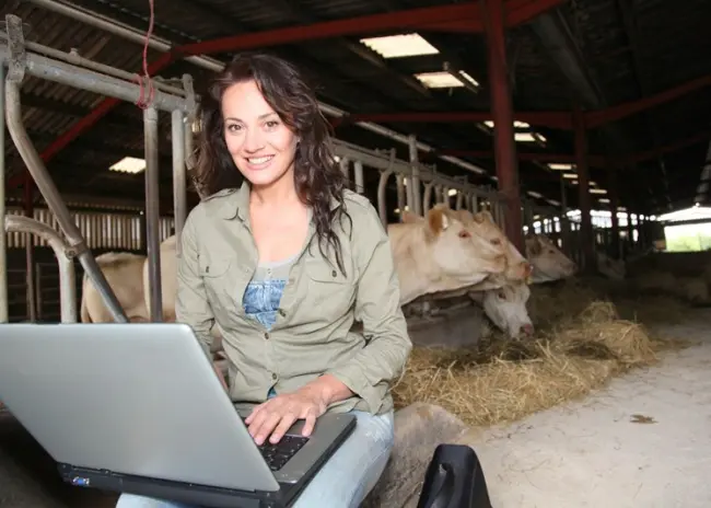Vastlegging gegevens bij mestboekhouding 2023