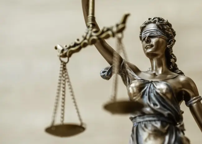 Hoge Raad bevestigt aanspraak verpachter op deel fosfaatrechten pachter
