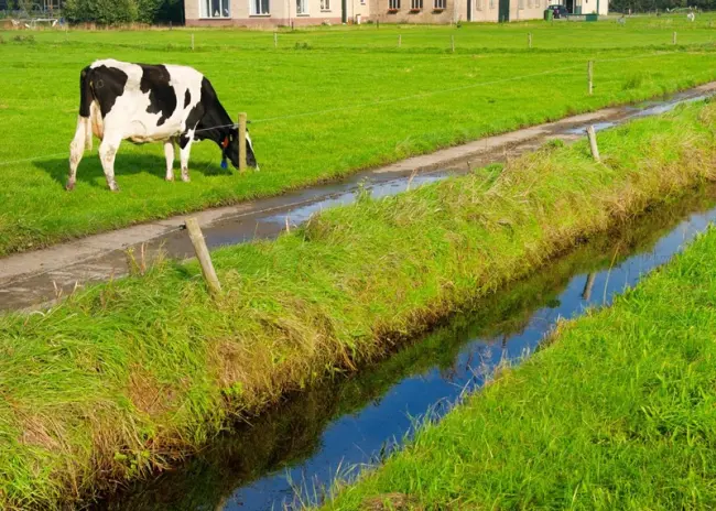 Verbouwing voor rekening bv was uitdeling van winst aan dga