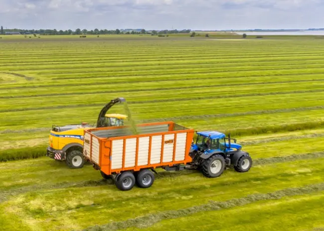 Subsidiemodule behoud graslandareaal opengesteld in juni