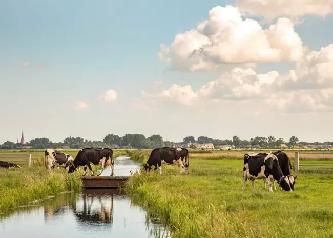 Kaartlagen waterlopen en bufferstroken vernieuwd