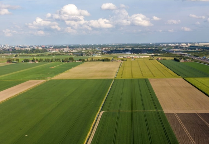 Regelgeving scheuren grasland