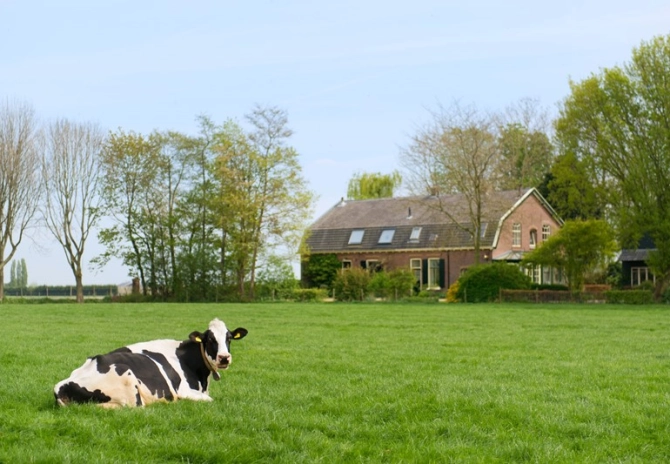 Rechtbank: voormalige bedrijfswoning terecht omgezet naar plattelandswoning