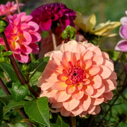 Wendy Koese – de Leeuw en Julian Koese