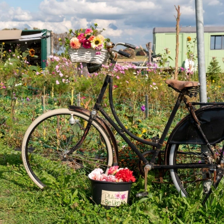 Wendy Koese – de Leeuw en Julian Koese
